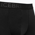 Мъжки термални боксерки Icebreaker Anatomica Cool-Lite black 105223 3