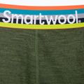 Мъжки боксерки Smartwool Merino Sport Boxer Brief Boxed термо боксерки зелени 17342 3