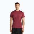 Мъжка тениска за трекинг icebreaker Merino 125 Cool-Lite Sphere III port