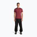 Мъжка тениска за трекинг icebreaker Merino 125 Cool-Lite Sphere III port 4