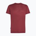 Мъжка тениска за трекинг icebreaker Merino 125 Cool-Lite Sphere III port 6