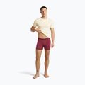 Мъжки термобоксерки icebreaker Anatomica Boxers port 5