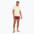 Мъжка тениска за трекинг Icebreaker Anatomica Crewe undyed 2