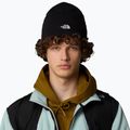 Мъжка шапка за трекинг The North Face Norm Beanie black 4