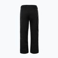 Мъжки ски панталони The North Face Chakal black NF0A5IYVJK31 6