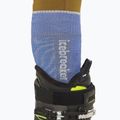 Мъжки скиорски чорапи icebreaker Merino Ski+ Medium OTC Mountain Contour brilliant/ether/baja 4