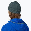 Patagonia Brodeo зимна шапка fitz roy icon/nouveau green 3