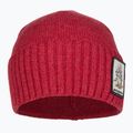 Patagonia Brodeo Beanie забавни свине броненосец/туризъм червена трекинг шапка 2