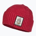 Patagonia Brodeo Beanie забавни свине броненосец/туризъм червена трекинг шапка 3