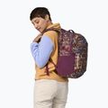 Patagonia Refugio Day Pack 26 l fitz roy patchwork/night plum туристическа раница 4