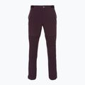 Мъжки панталони за трекинг Patagonia Point Peak Trail-Regular obsidian plum