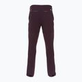 Мъжки панталони за трекинг Patagonia Point Peak Trail-Regular obsidian plum 2