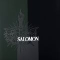 Мъжки сноуборд Salomon Assassin PRO black L47017200 6