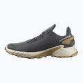 Salomon Alphacross 4 сиви мъжки обувки за пътеки L41724100 12