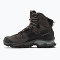 Дамски ботуши за трекинг Salomon Quest 4 GTX magnet/black/sun 9