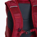 Salomon Trailblazer 20 л туристическа раница Aura Orange/Biking Red LC2059700 5