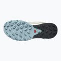 Дамски ботуши за трекинг Salomon Outrise GTX beige L47142700 16