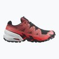 Мъжки обувки за бягане Salomon Spikecross 6 GTX cow hide/black/neon flame 8