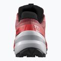 Мъжки обувки за бягане Salomon Spikecross 6 GTX cow hide/black/neon flame 10