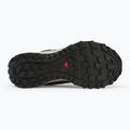 Дамски обувки за бягане Salomon Wander GTX plum kitten/black/pea 4