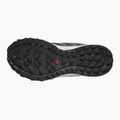 Дамски обувки за бягане Salomon Wander moonscape/black/pastel lilac 10