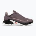 Salomon Alphacross 5 GTX дамски маратонки moonscape/black/white 2