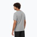 Мъжка тениска Salomon Logo Performance heather grey 2