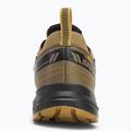 Мъжки маратонки Salomon Wander GTX anthro/center/athmos 6