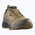 Мъжки обувки за бягане Salomon Wander GTX anthro/center/athmos 8