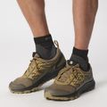 Мъжки обувки за бягане Salomon Wander GTX anthro/center/athmos 11