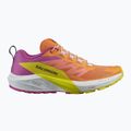 Salomon Sense Ride 5 дамски обувки за бягане bird of paradise/white/sulphur spring 9