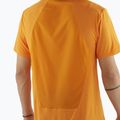 Мъжка тениска Salomon Outline Tee в цвят куркума 3