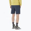 Salomon Wayfarer Ease blue nights къси панталони за мъже 2