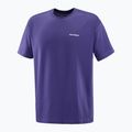 Мъжки потник Salomon Logo RX Tee astral 4