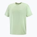 Мъжка тениска Salomon Logo RX Tee с морска пяна 4