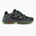Мъжки обувки за бягане Salomon Speedcross Peak GTX black/urban chic/dark citron 2
