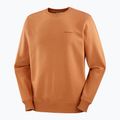 Мъжки суитшърт с лого на Salomon Crewneck sierra 5