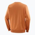Мъжки суитшърт с лого на Salomon Crewneck sierra 6