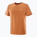 Мъжки тениски Salomon Logo Тениска sierra 4