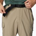 Мъжки панталони за трекинг Columbia Silver Ridge Utility Convertible tusk 4
