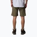 Мъжки шорти за трекинг Columbia Silver Ridge Utility stone green 3