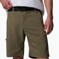 Мъжки шорти за трекинг Columbia Silver Ridge Utility stone green 5