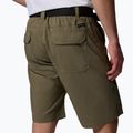 Мъжки шорти за трекинг Columbia Silver Ridge Utility stone green 6