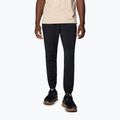 Мъжки панталони за трекинг Columbia Hike Jogger II black