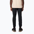 Мъжки панталони за трекинг Columbia Hike Jogger II black 2