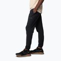 Мъжки панталони за трекинг Columbia Hike Jogger II black 3
