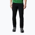 Мъжки панталони за трекинг Titan Pass Pant II black от Columbia