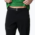Мъжки панталони за трекинг Titan Pass Pant II black от Columbia 4