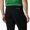 Мъжки панталони за трекинг Titan Pass Pant II black от Columbia 5
