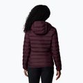 Дамско пухено яке Columbia Lake 22 II Down Hooded moonvista 3